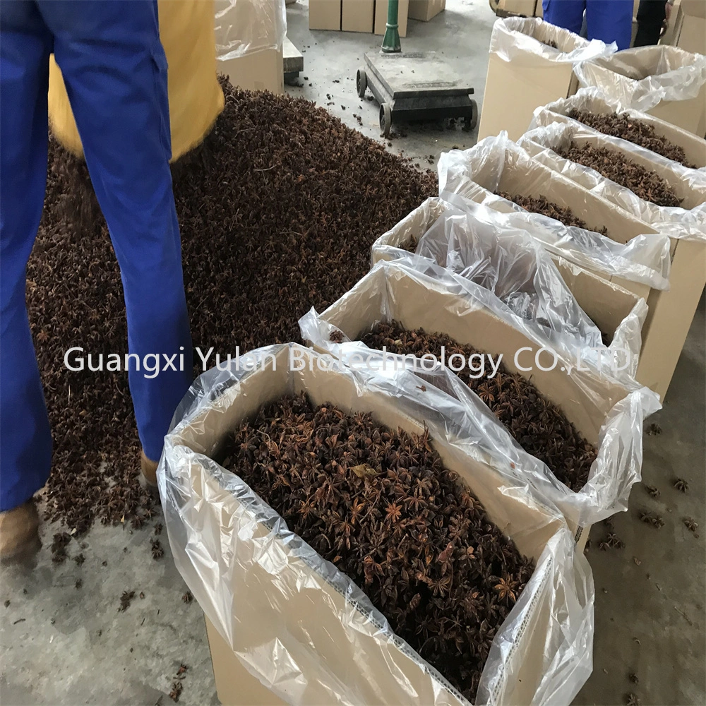 Factory Wholesales Dried Star Anise Faq Chinese Spices Seasoning Crop Star Aniseed