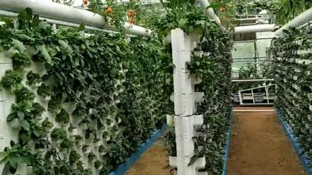 Gallery Hydroponics for Vegetable Fruits/Tomato/Red Pepper